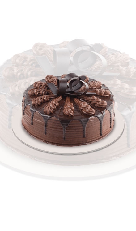 Passion for Baking: Chocolate Indulgence Cake