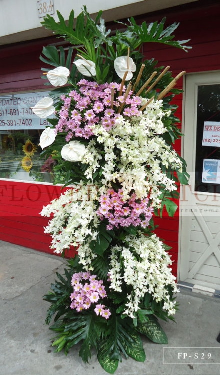 Standing Arrangement of Orchids, White Anthuriums & Mums | Sympathy & Funeral Flowers Delivery