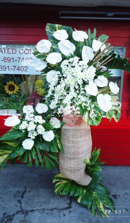 Standing Arrangement of White Anthuriums, Orchids & Mums | Sympathy & Funeral Flowers Delivery