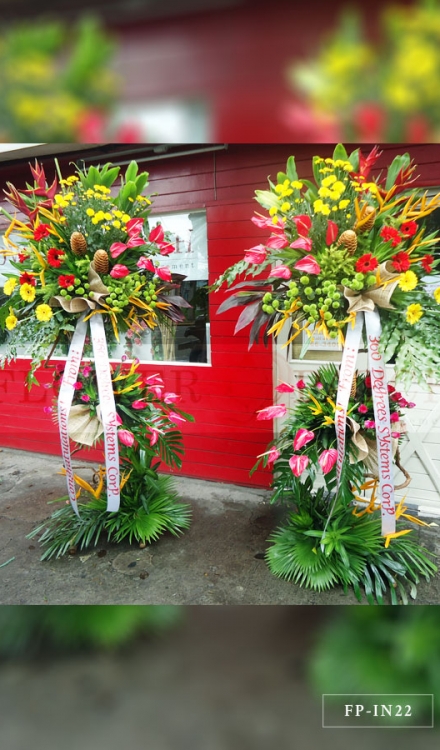 Standing Arrangement of Gerberas, Green and Yellow Button Mums, Birds of Paradise, Shampoo Ginger and Anthuriums