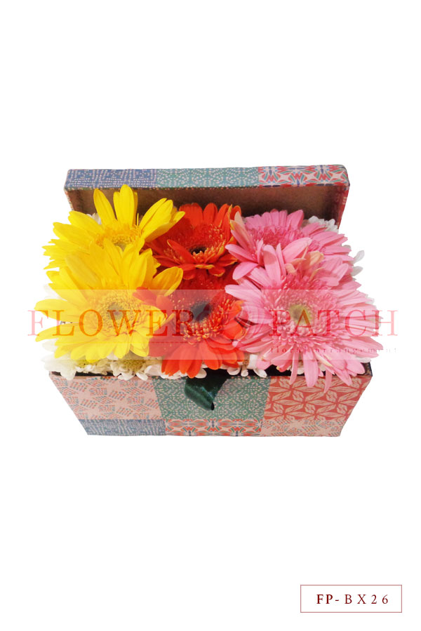 6 Gerberas with Mums in a Paper Box