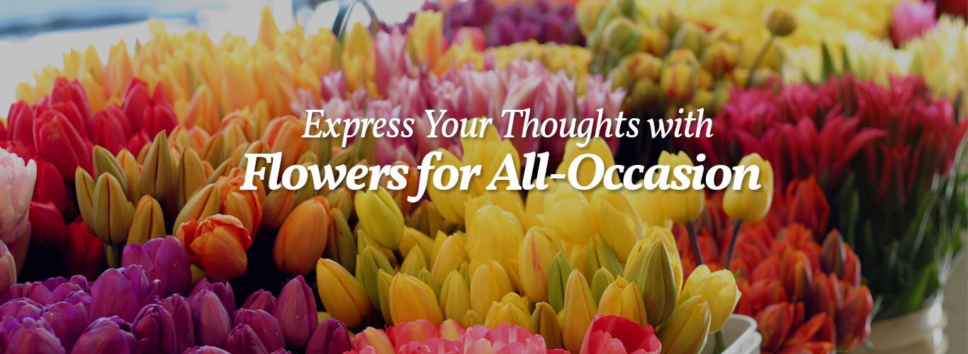 Express your thoughts with Flowers for All-Occasion