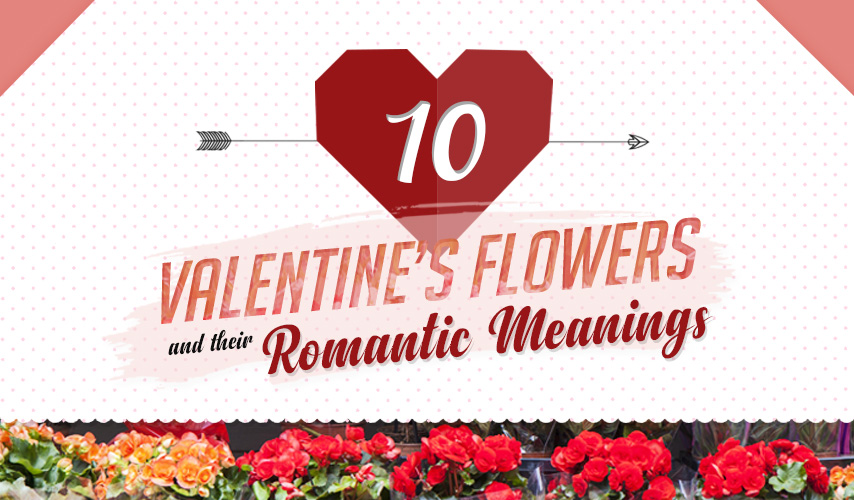 10 Valentine’s Flowers and their Romantic Meanings