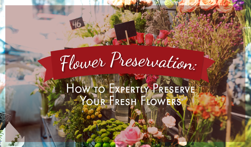 Flower Preservation: How to Expertly Preserve Your Fresh Flowers