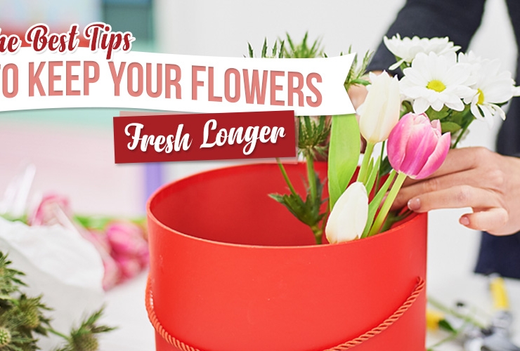 The Best Tips to Keep Your Flowers Fresh Longer