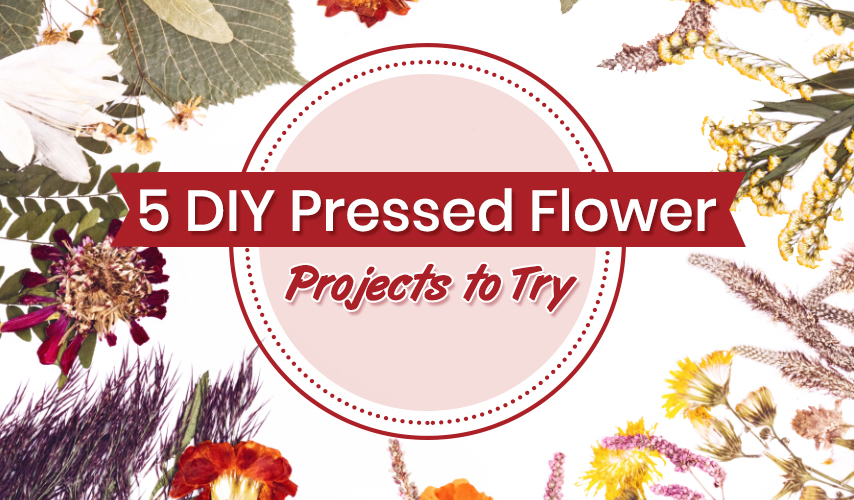 5 DIY Pressed Flower Projects to Try