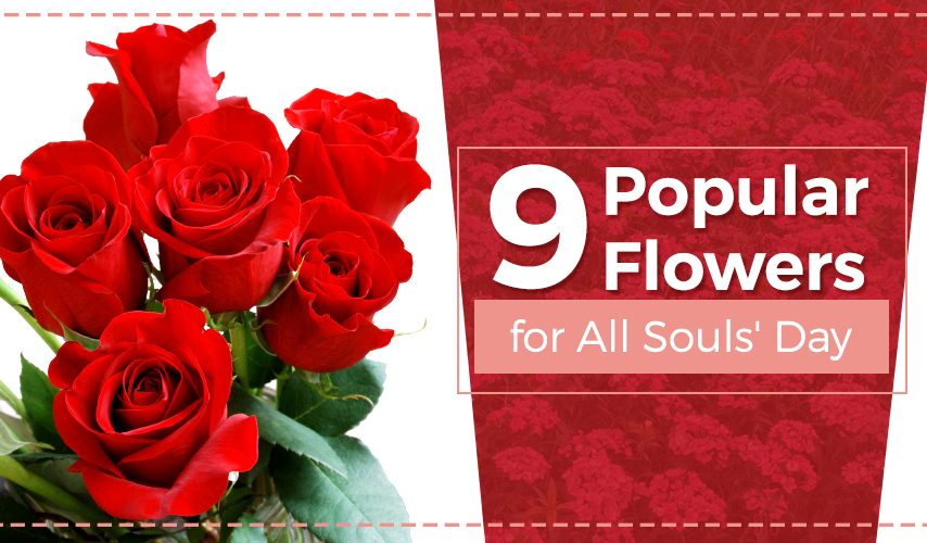 9 Popular Flowers for All Souls’ Day