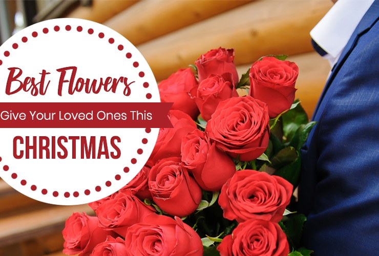 Best Flowers to Give Your Loved Ones This Christmas