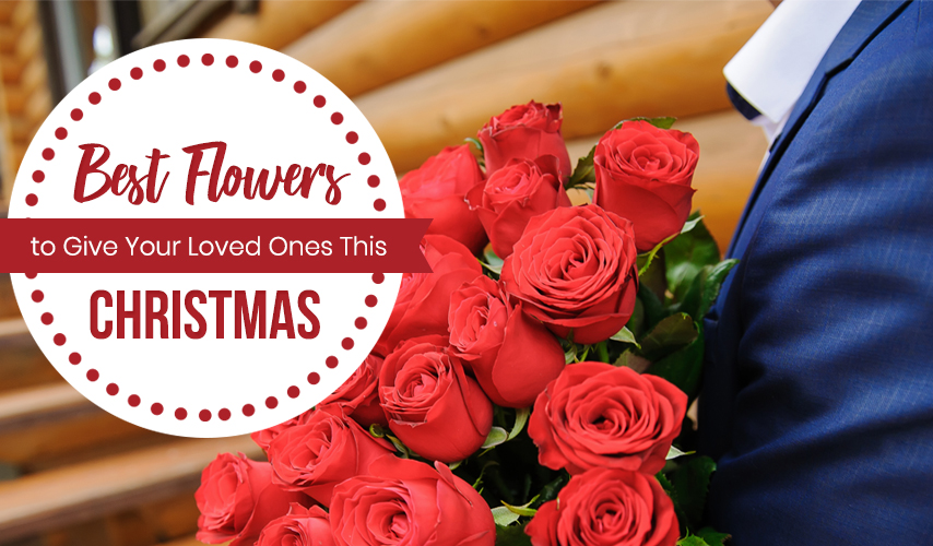 Best Flowers to Give Your Loved Ones This Christmas