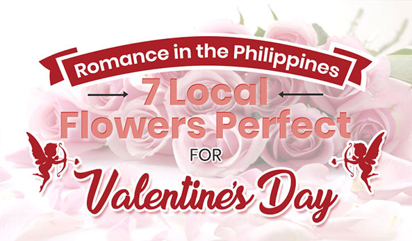 Romance in the Philippines: 7 Local Flowers Perfect for Valentine’s Day