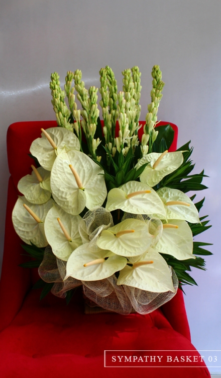 White Anthurium Casket Flower Arrangements | Flowers Sympathy