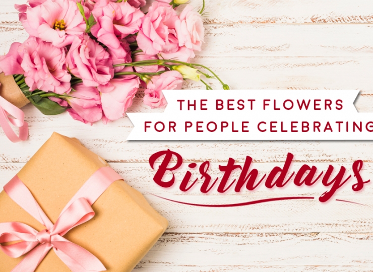 The Best Flowers for People Celebrating Birthdays