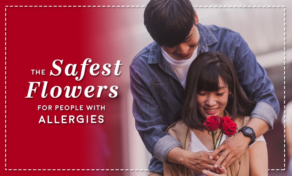 The Safest Flowers for People with Allergies