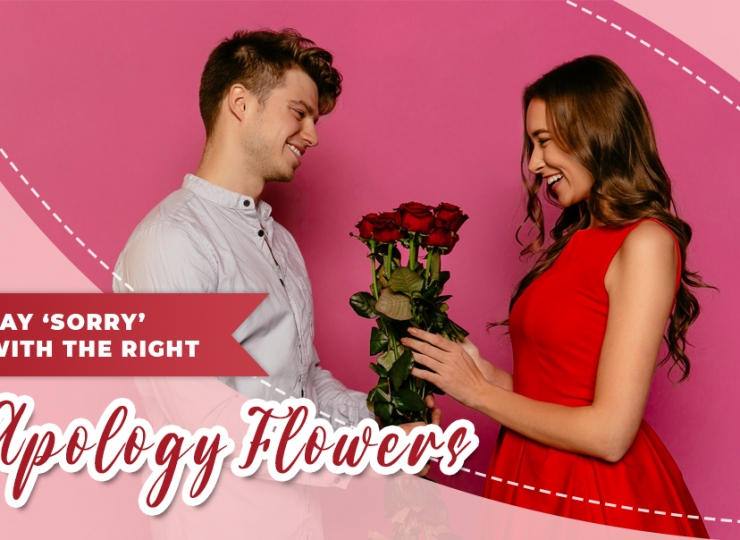 Say ‘Sorry’ with the Right Apology Flowers