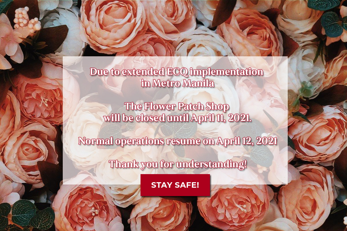 Extended ECQ Schedule