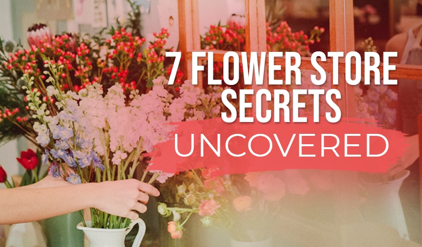 7 Flower Store Secrets Uncovered