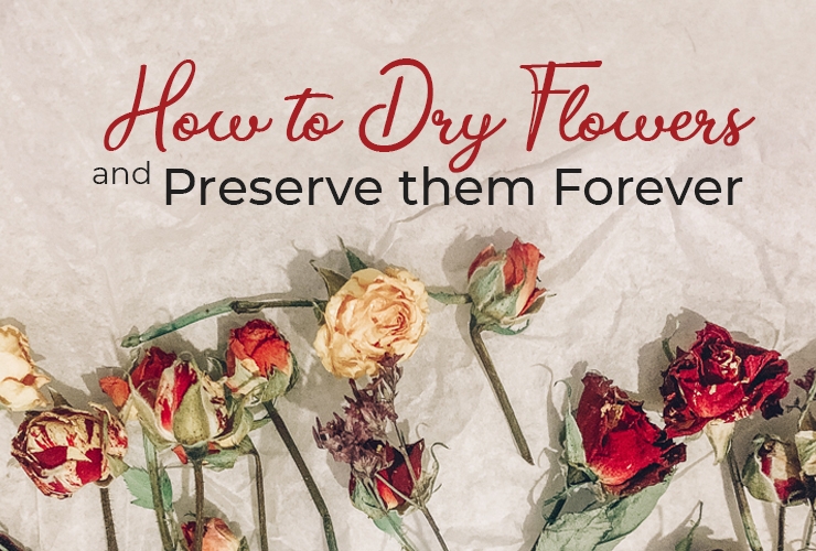 How to Dry Flowers and Preserve them Forever