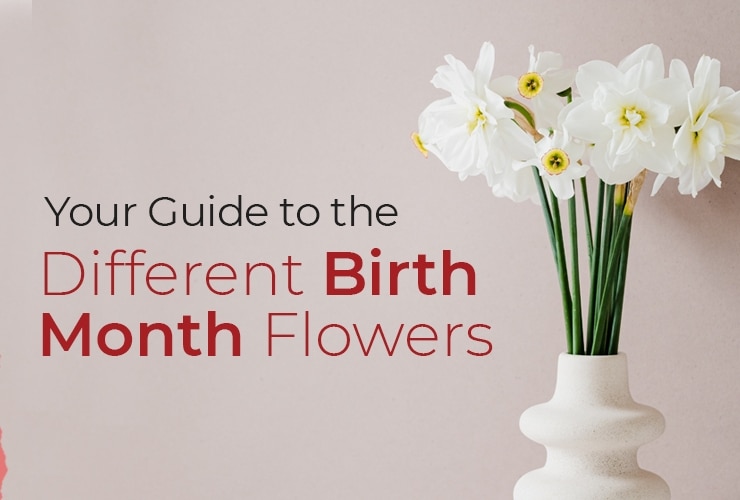 Your Guide to the Different Birth Month Flowers