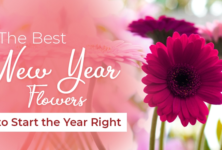 The Best New Year Flowers to Start the Year Right