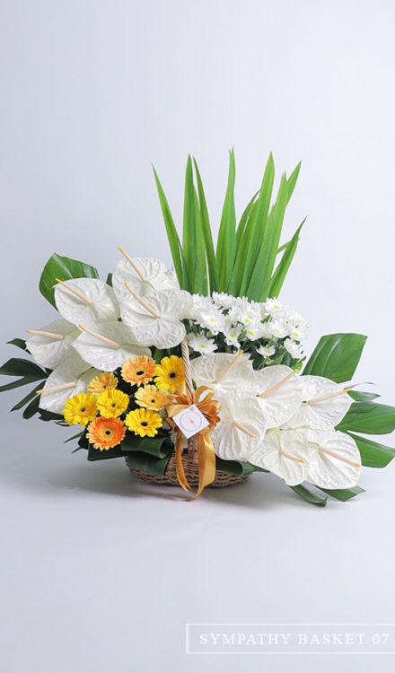 Sympathy Basket of Anthuriums, Gerberas and Mums