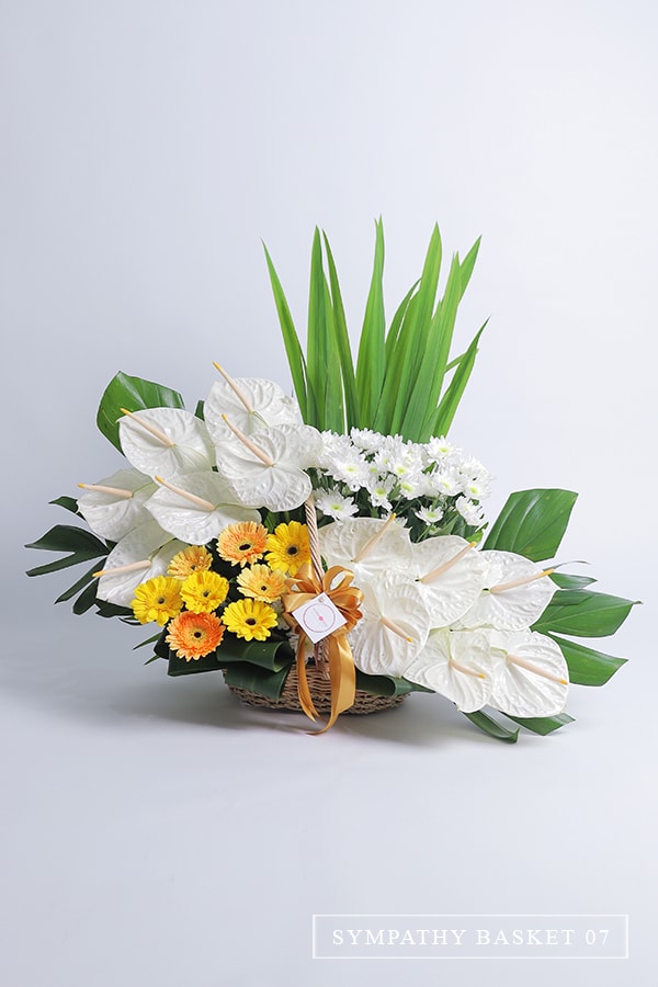 Sympathy Basket 07 Sympathy Basket of Anthuriums, Gerberas and Mums