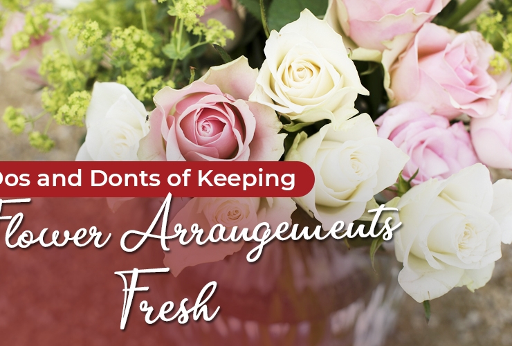 Dos and Don’ts of Keeping Flower Arrangements Fresh