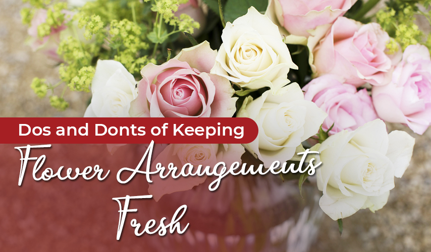 Dos and Don’ts of Keeping Flower Arrangements Fresh