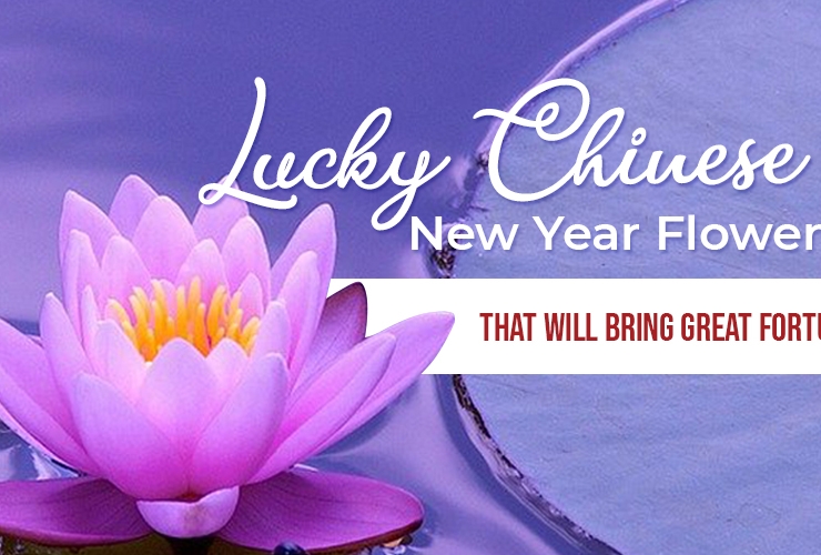 Lucky Chinese New Year Flowers that Will Bring Great Fortune