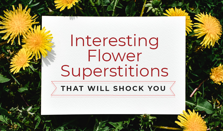 Interesting Flower Superstitions that Will Shock You