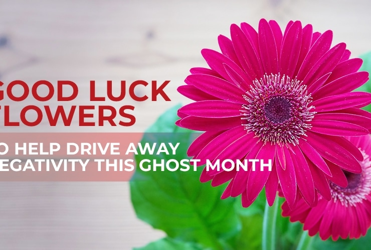 Good luck flowers to help drive away negativity this ghost month