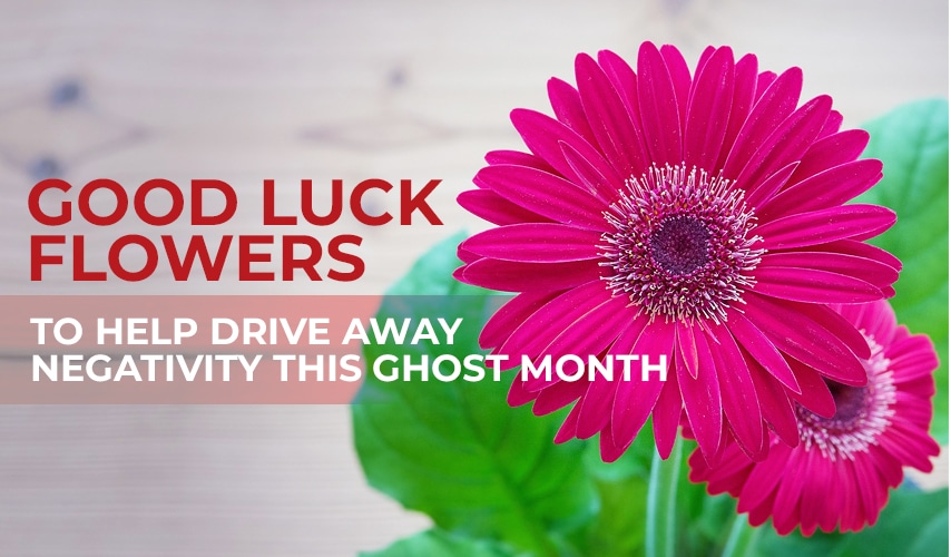Good luck flowers to help drive away negativity this ghost month