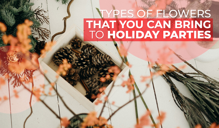 Types of Christmas Flowers that You Can Bring to Holiday Parties