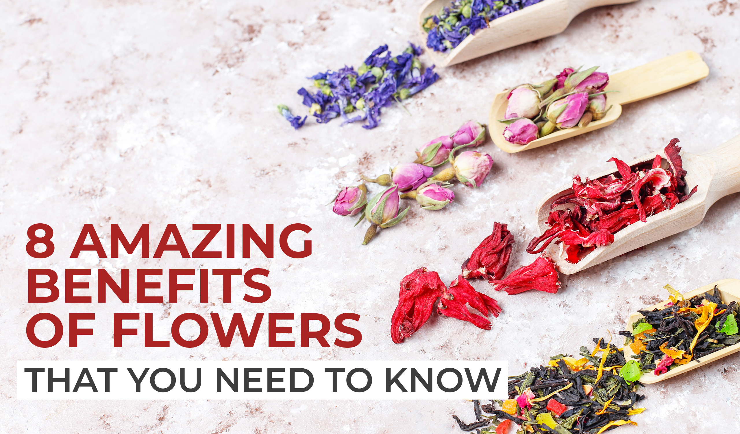 Ideal Flower Color Combinations for Your Event