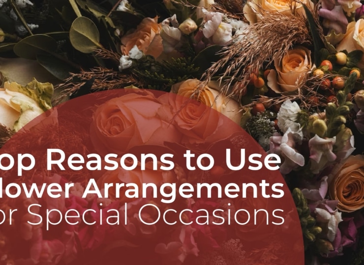 Top Reasons to Use Flower Arrangements for Special Occasions