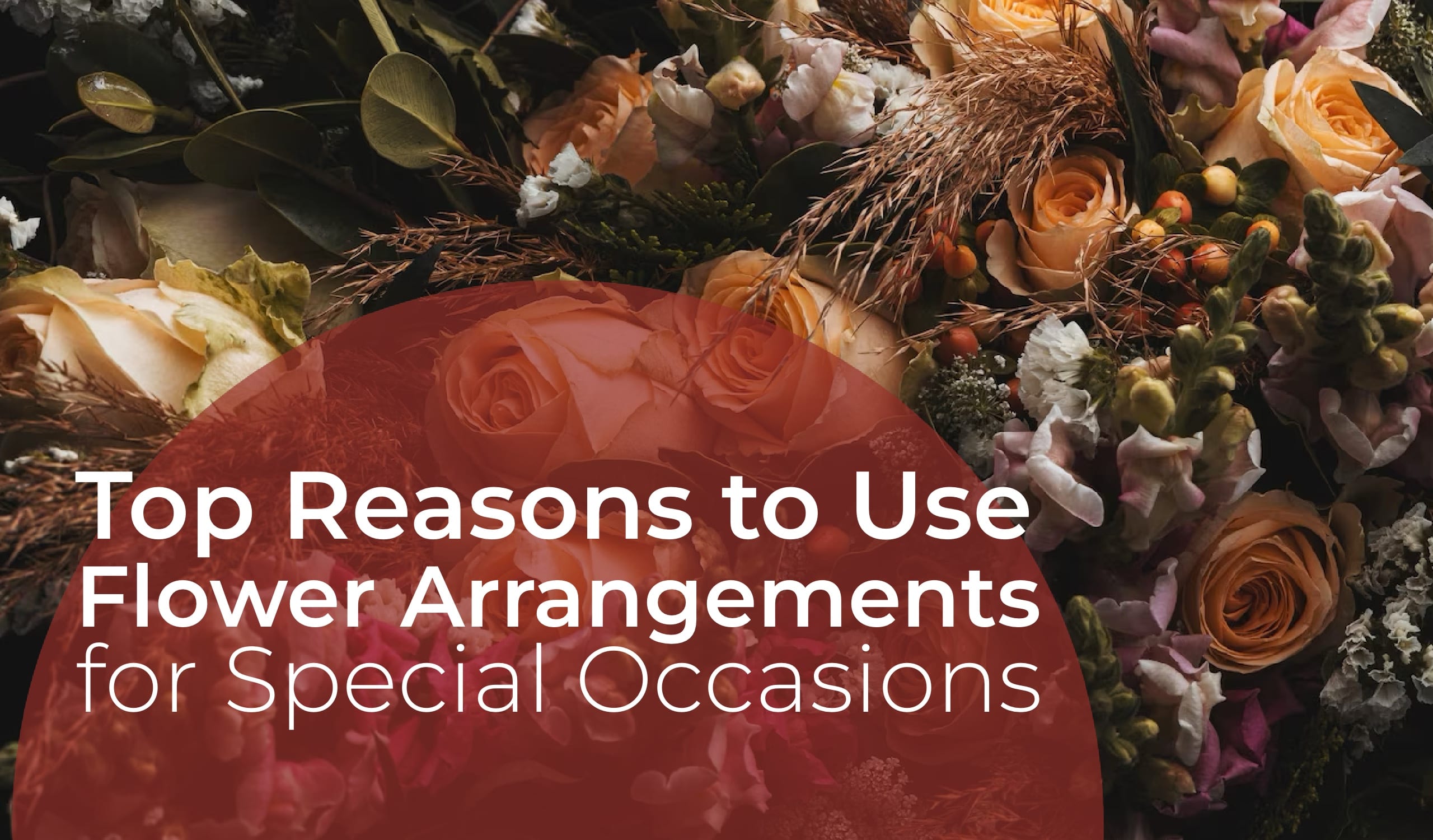 Top Reasons to Use Flower Arrangements for Special Occasions