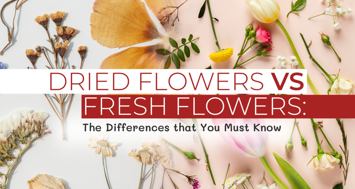 Dried Flowers vs Fresh Flowers: The Differences that You Must Know