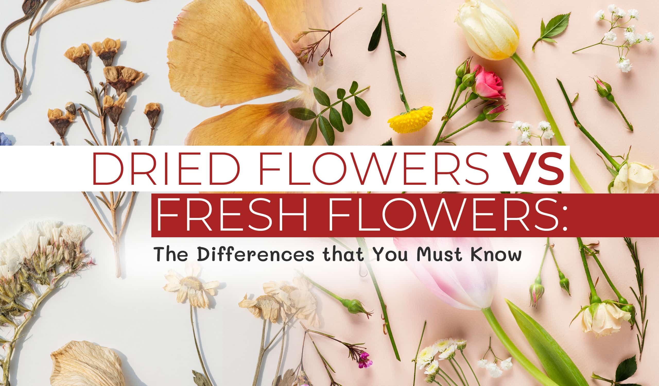 Dried Flowers vs Fresh Flowers: The Differences that You Must Know