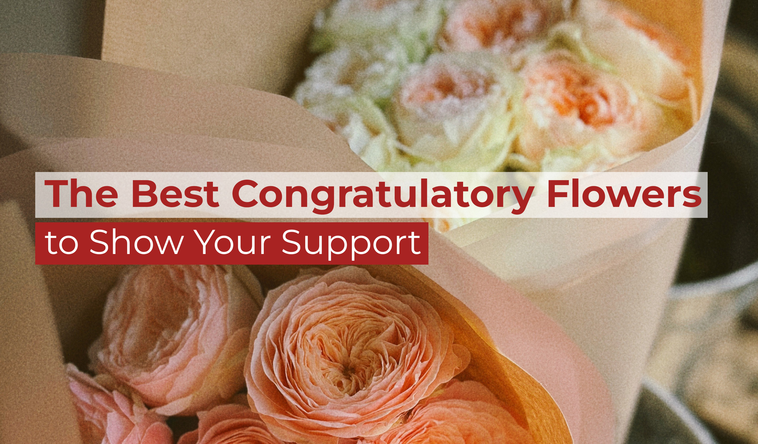 The Best Congratulatory Flowers to Show Your Support