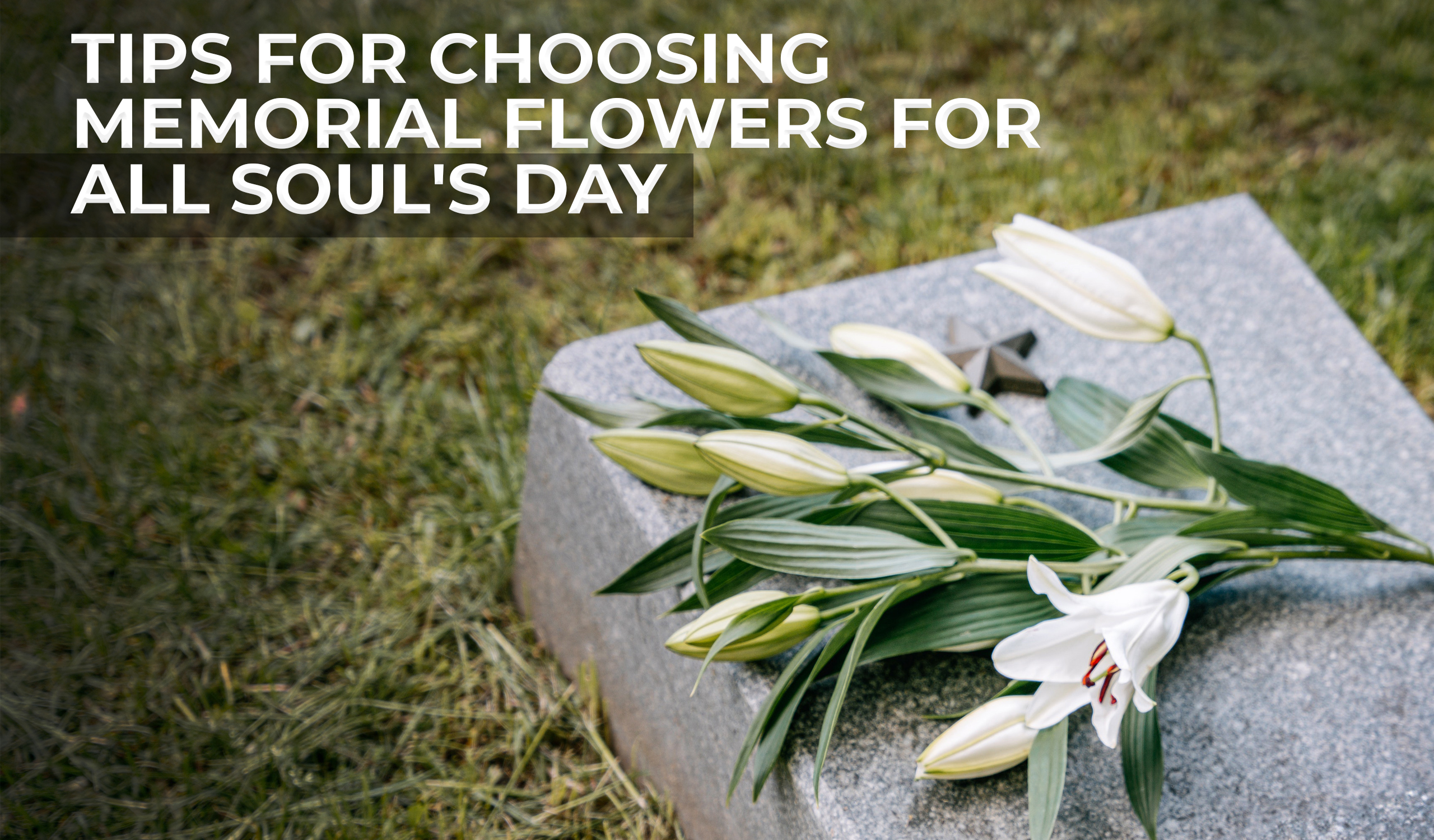 Tips for Choosing Memorial Flowers for All Soul’s Day