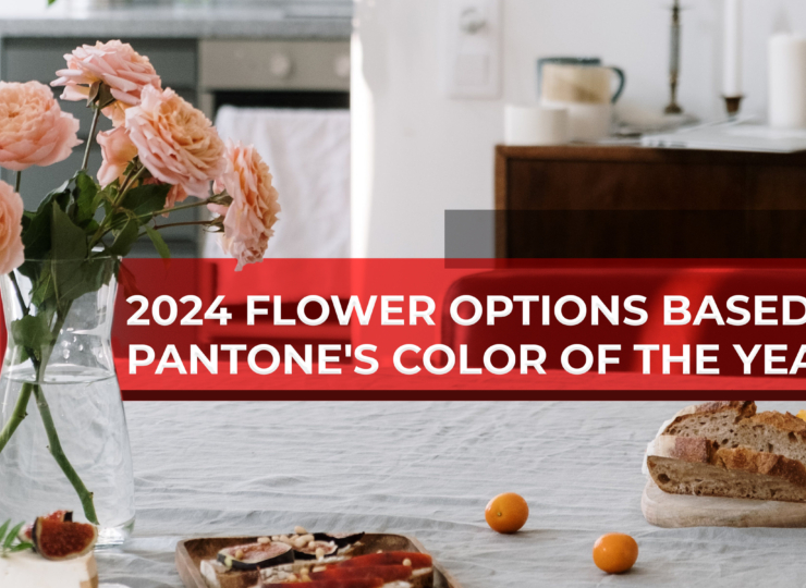 2024 Flower Options Based on Pantone’s Color of the Year