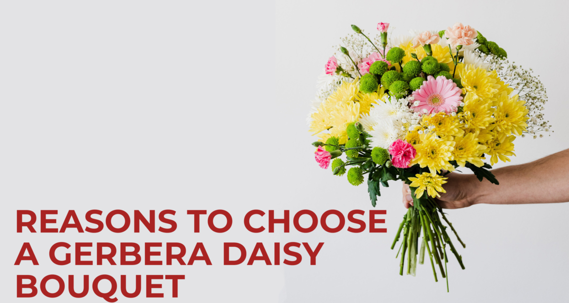 Reasons to Choose a Gerbera Daisy Bouquet