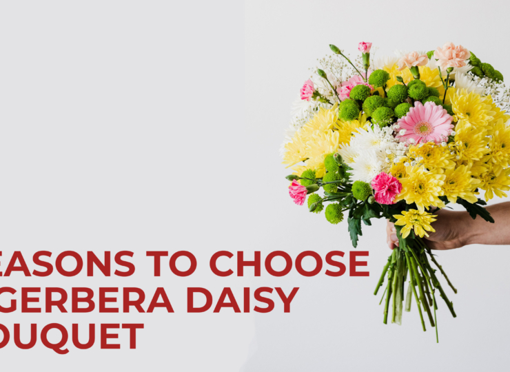 Reasons to Choose a Gerbera Daisy Bouquet
