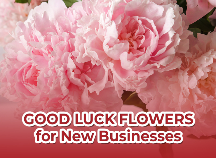 5 Good Luck Flowers for New Businesses