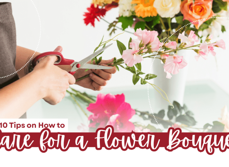 10 Tips on How to Care for a Flower Bouquet