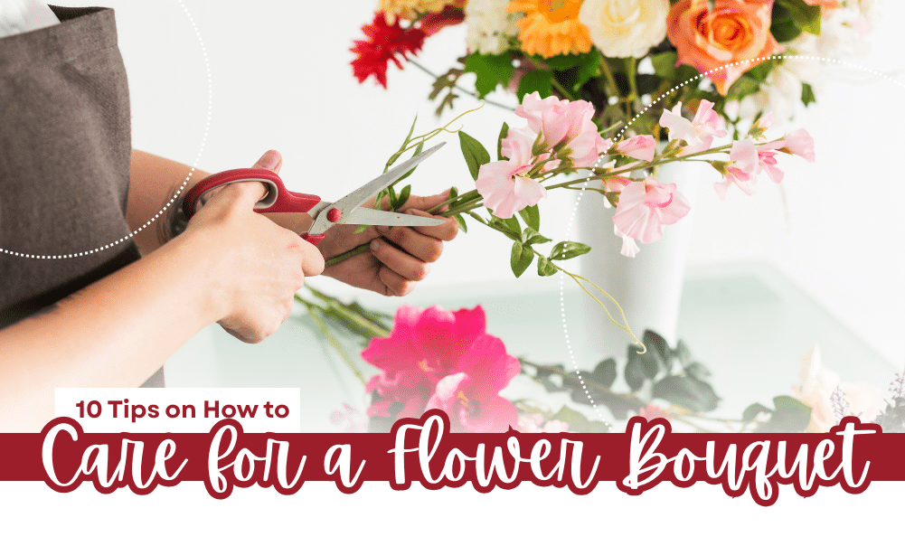 10 Tips on How to Care for a Flower Bouquet