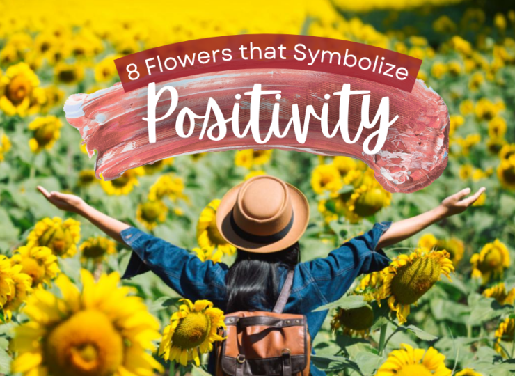 8 Flowers that Symbolize Positivity