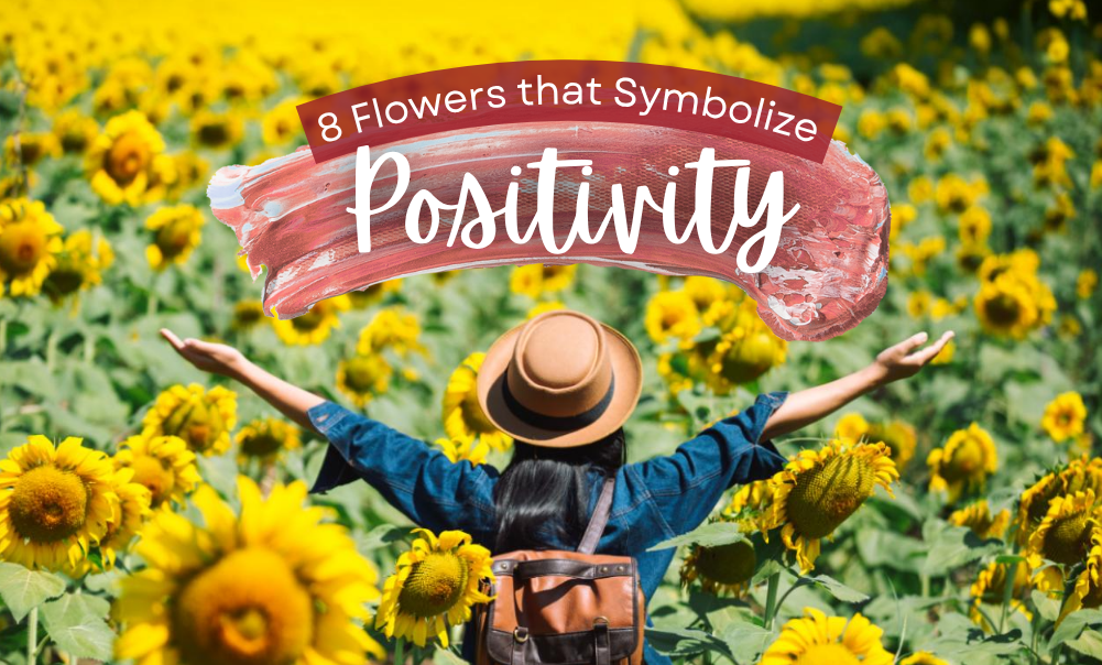 8 Flowers that Symbolize Positivity