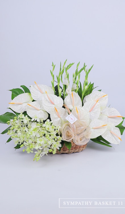 Sympathy Basket of Orchids, Anthuriums and Gladiolus