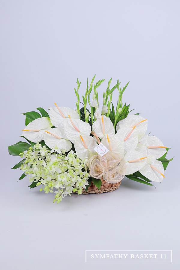 Sympathy Basket 11 Sympathy Basket of Orchids, Anthuriums and Gladiolus
