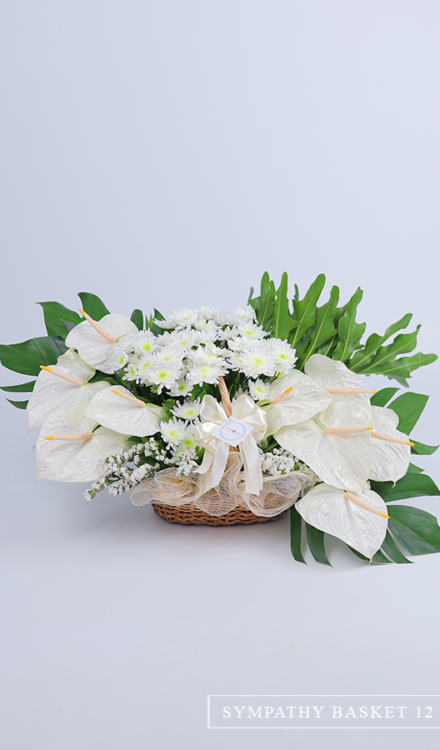 Sympathy Basket of Anthuriums and Mums